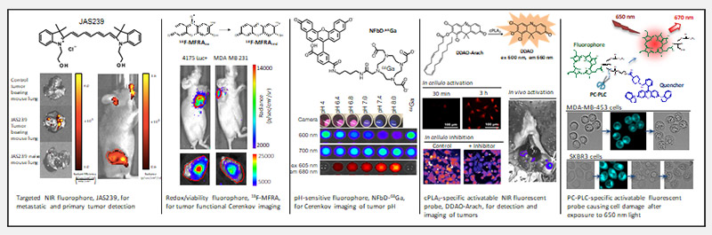 Delikatny Translational Molecular Imaging Lab graphic